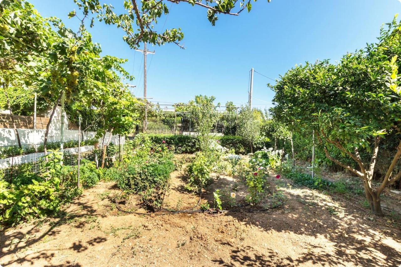 Οικια Elisabeth Apartment Artemida  Bagian luar foto