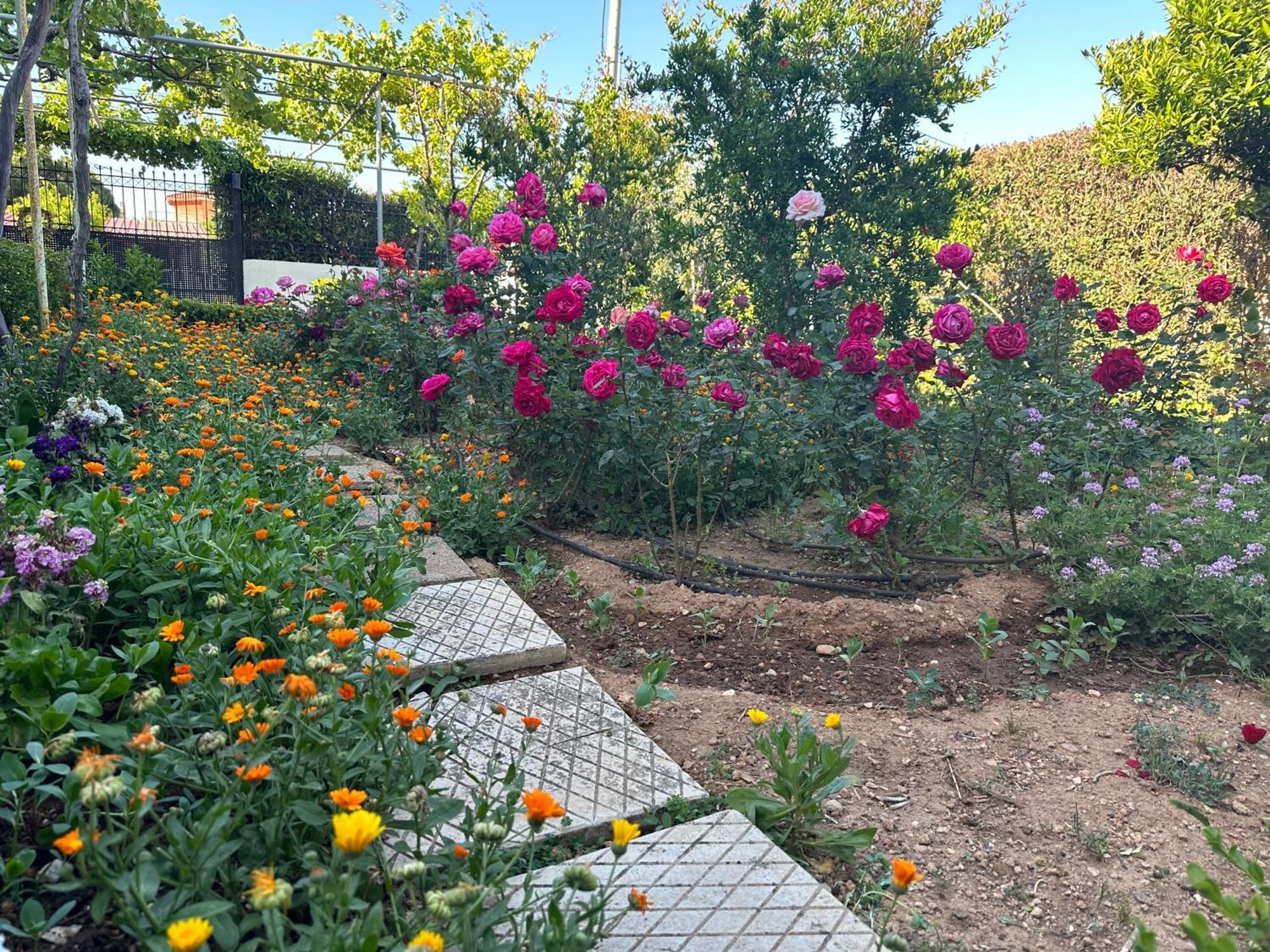 Οικια Elisabeth Apartment Artemida  Bagian luar foto
